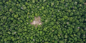 Vista aérea da Amazônia com áreas de desmatamento contrastando com a floresta densa.