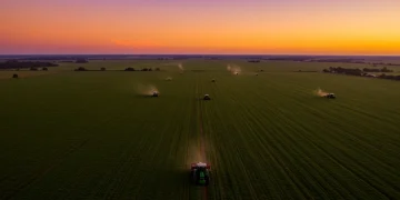Campo agrícola brasileiro ao pôr do sol, representando o sucesso das exportações do agronegócio.