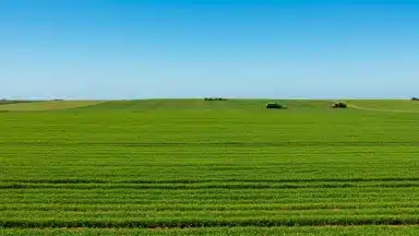 Geopolítica e Agronegócio Brasileiro 2026: Desafios e Oportunidades