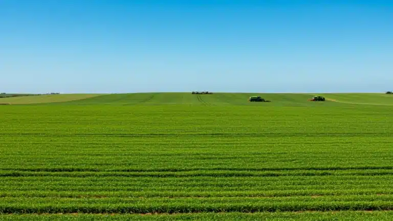 Geopolítica e Agronegócio Brasileiro 2026: Desafios e Oportunidades